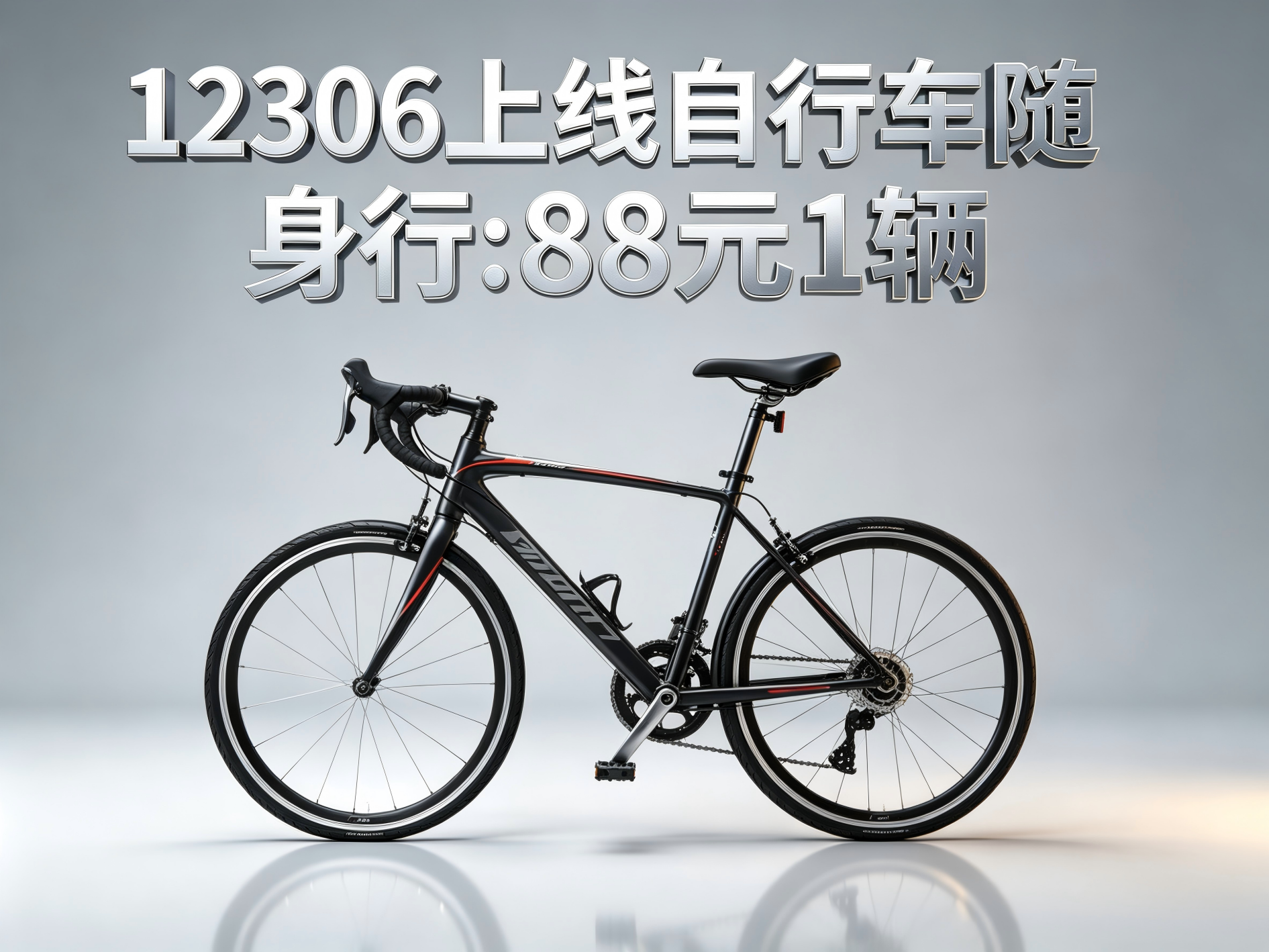 12306正式上线